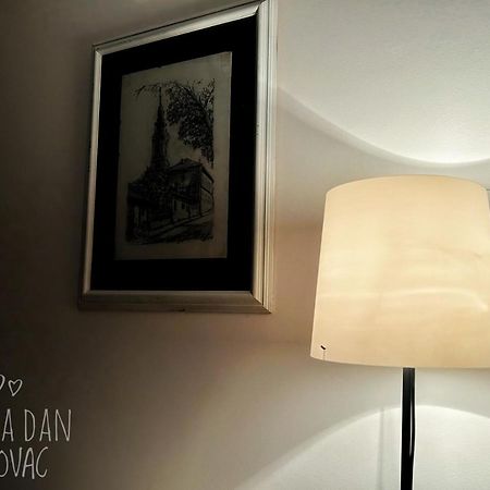 Bgd Apartman Dusanovac エクステリア 写真